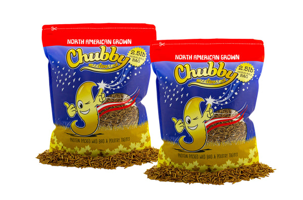 5Lbs Chubby NA Grown Dried Mealworms (Non-GMO) - Currently supplied in plain bags