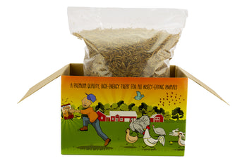 3Lb Chubby Dried Mealworms - Coop Dreams Limited Edition Box