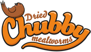 Chubby Mealworms USA
